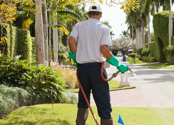 About Jacobs Creek PA Pest Control